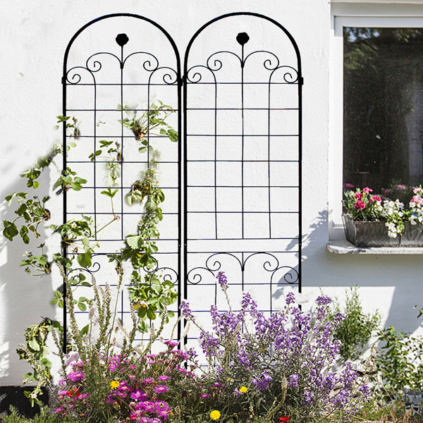 Red Barrel Studio® Jaydynn Metal Garden Trellis, Flower Stand Trellis